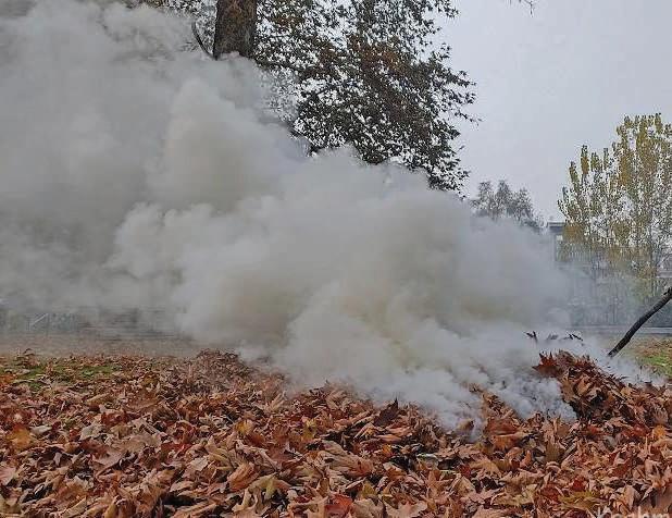 Kashmir's Low AQI Has a Local Source