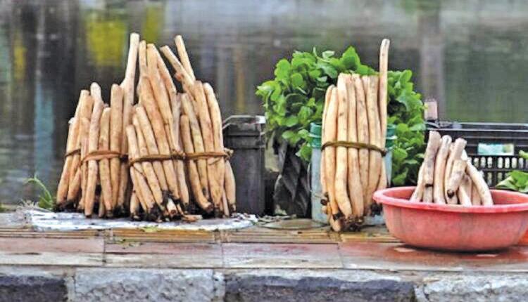 King of Kashmiri Kitchens