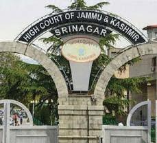 Review Power Not Meant To Replace Judicial View: HC