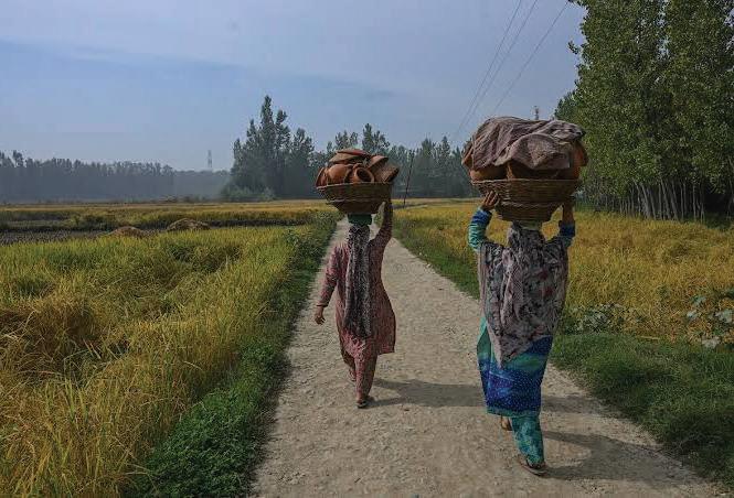 The Long Road to Empowerment