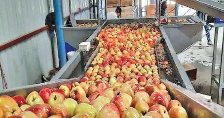 Apple Demand Rises as CA Stores Open