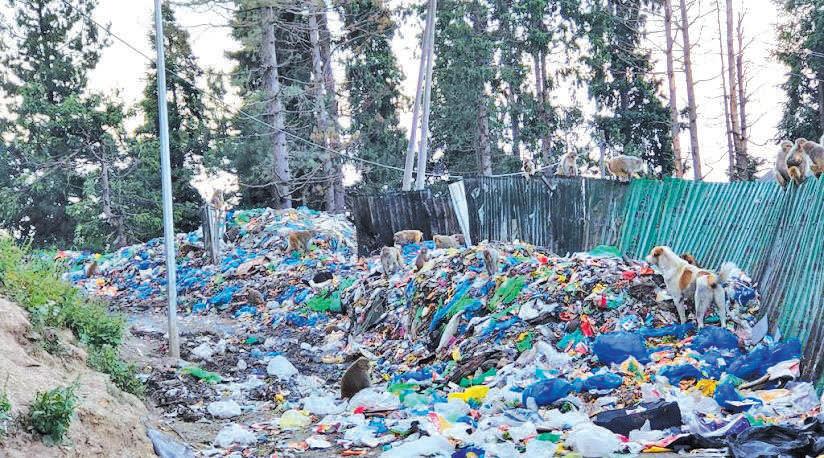 Kashmir Beneath the Plastic Bags