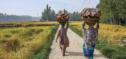 How Quiet Seasonal Livelihoods Power Rural Women's Income