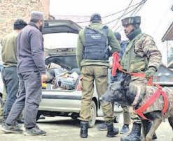 Police Launches Searches in Lawaypora