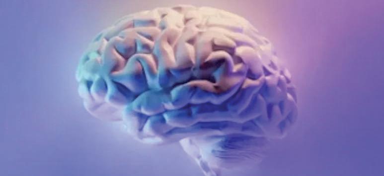 Brain Region That Controls Breathing May Influence Blood Pressure Levels: Study