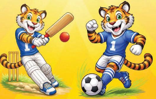 YSS-JKSC Football, Cricket Leagues Set for Jammu