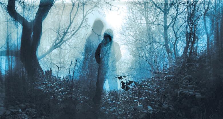 Forest Figure Returns