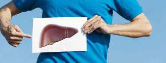 Liver Follows Body Clock; Irregular Eating Throws Its Rhythm Off: Study
