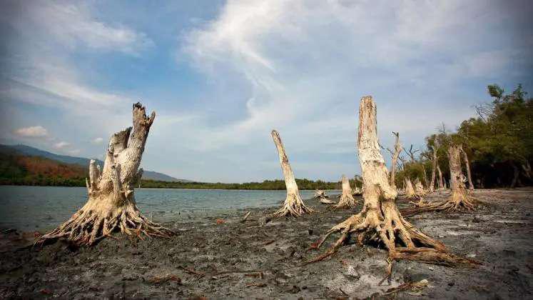 New South Asia Climate Health Initiative Targets Heat
