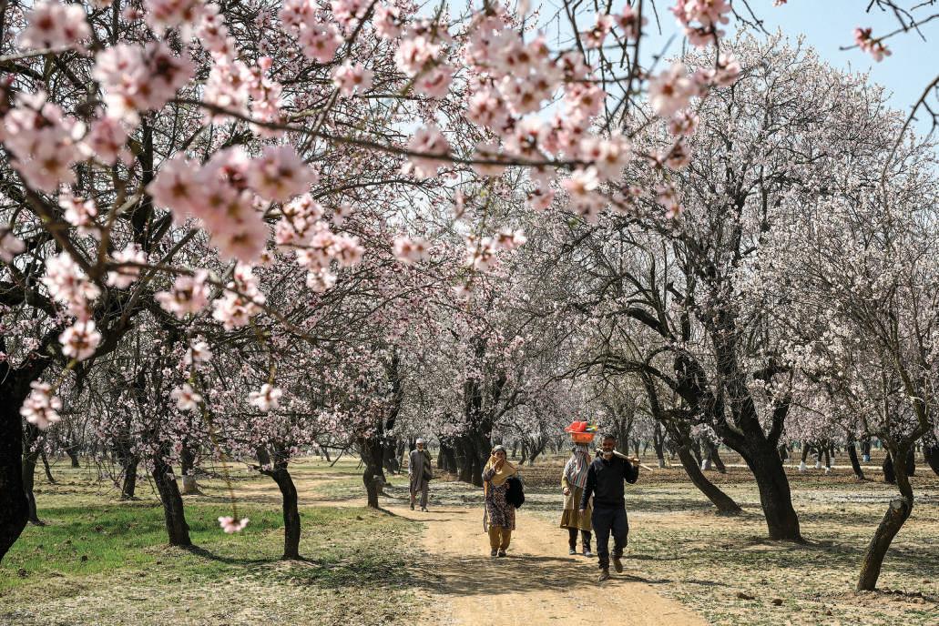 Back-to-Back WDs To Bring Rain, Snow To J&K