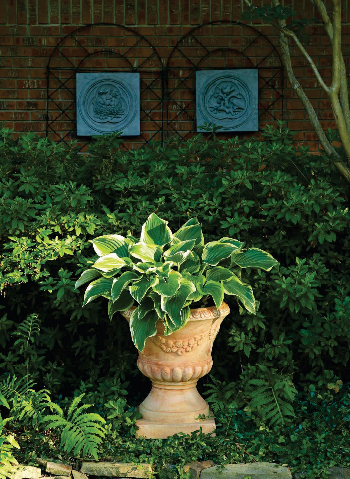 Pots of Leaves