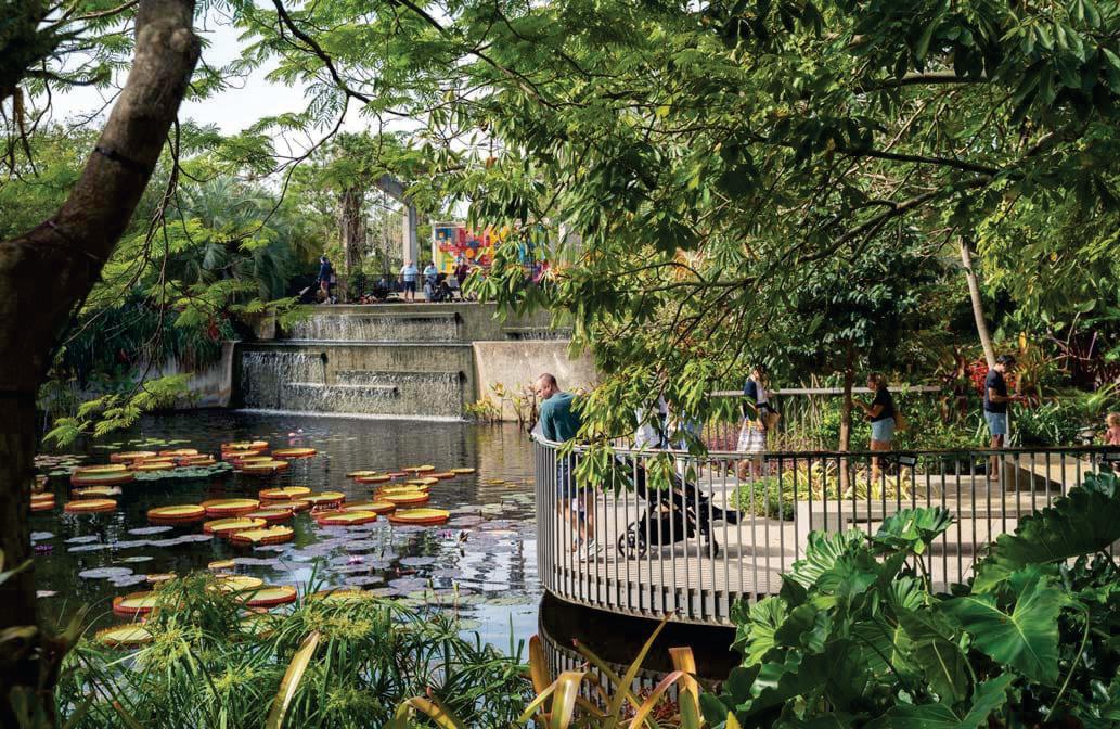 NAPLES BOTANICAL GARDEN