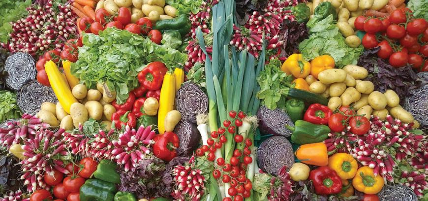 Farmery launches fresh fruits & vegetables range with a focus on Farm-ToFork freshness
