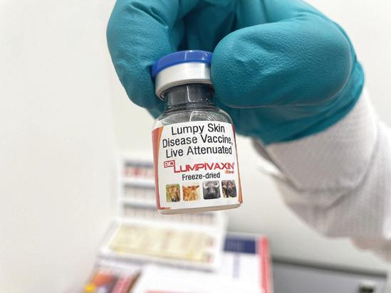 Biovet gets CDSCO license for BIOLUMPIVAXIN for Lumpy Skin Disease