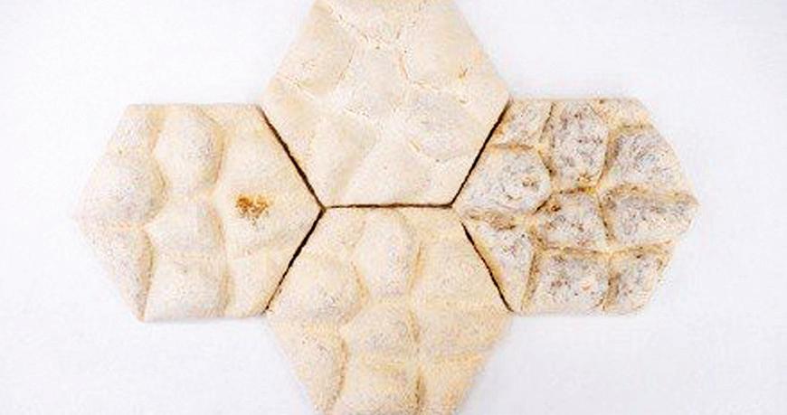Singapore scientists create 'fungi tiles', eco-friendly thermoinsulation materials using plant biomaterials