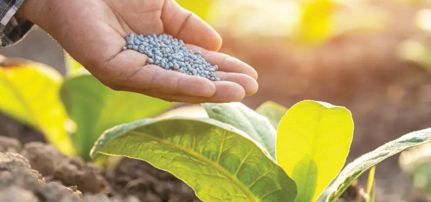 IFFCO FY 2024-25 Nano fertilisers sales soar by 47%