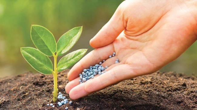 Govt broadens fertiliser regulations to cover new biostimulants and microbial products