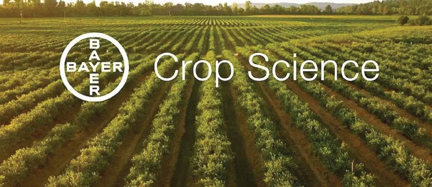 Bayer Crop Science India delivers double-digit Q1 growth on herbicide, corn seed surge