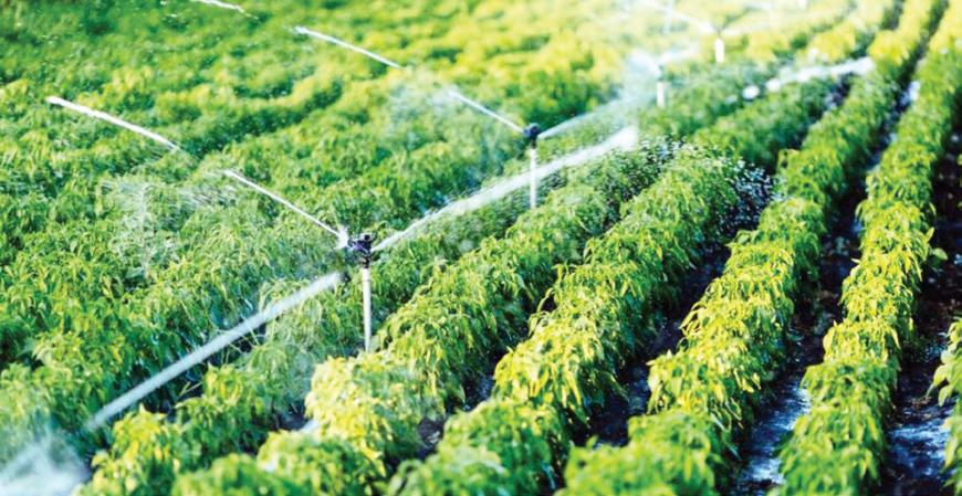 1,600+ projects approved under PMKSY to boost India's agriinfrastructure