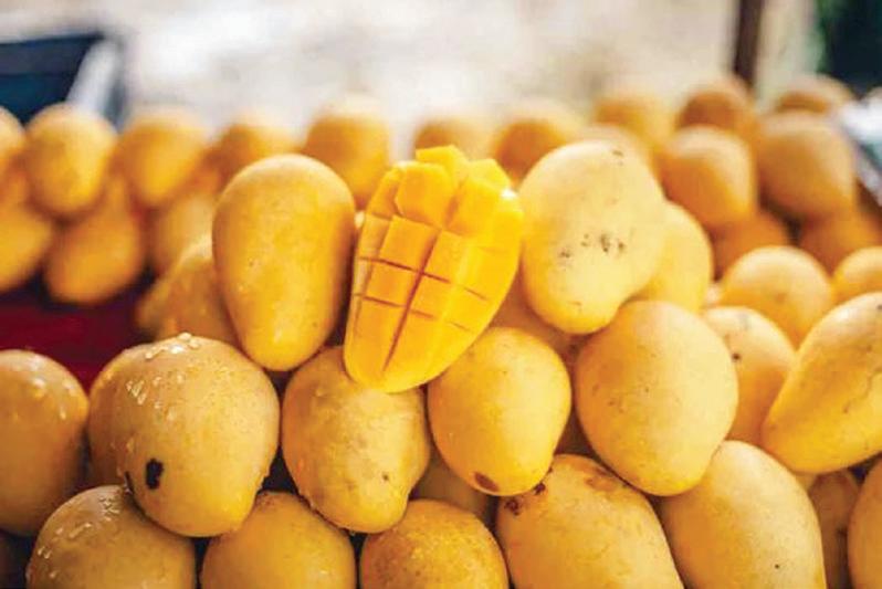 MangoPoint raises $1Mn led by inflection point ventures to scale chemical-free mango exports