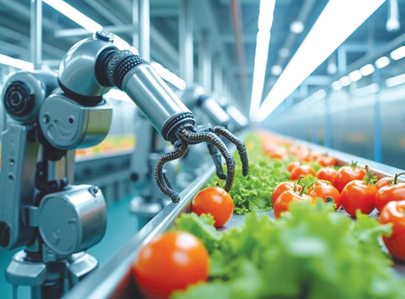 Post-Harvest Tech Firms Bank on Digital Innovation