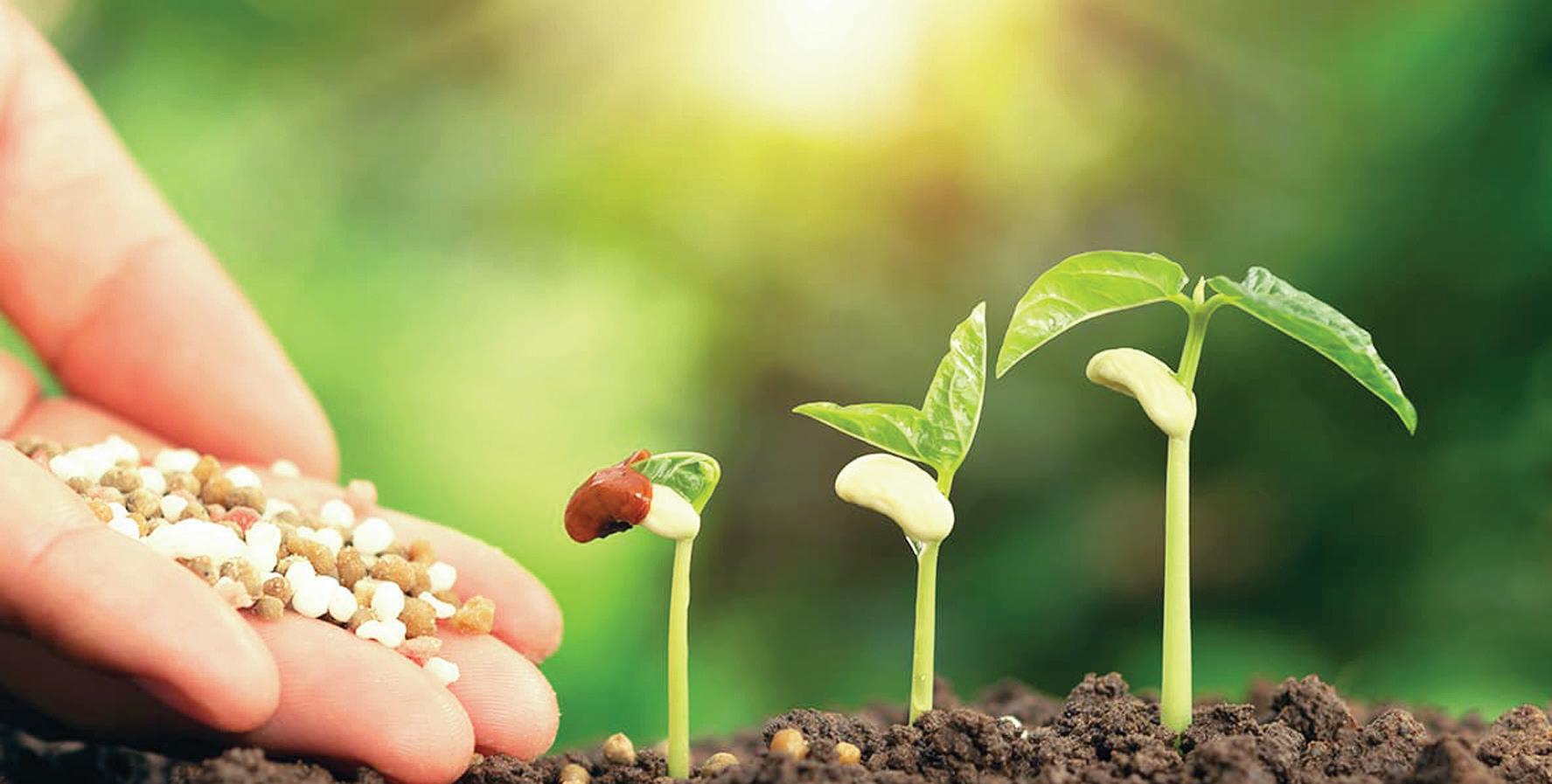 From genes to fields: A transformative seed tech revolution