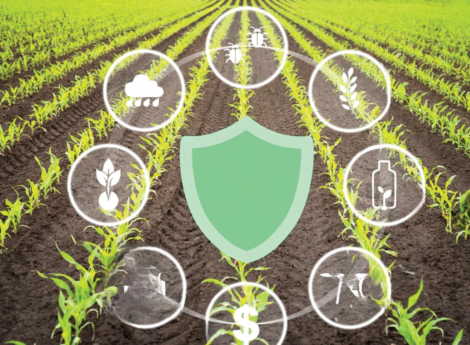 "Developing export ready, high-quality formulations and adhering to global standards can position India as a competitive supplier"