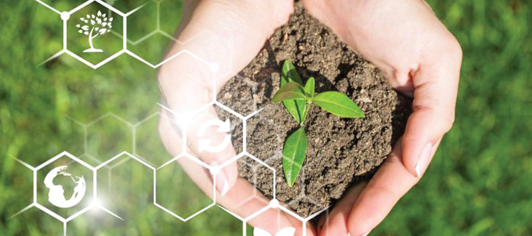 Assessing India's Biostimulant Need vs Innovations