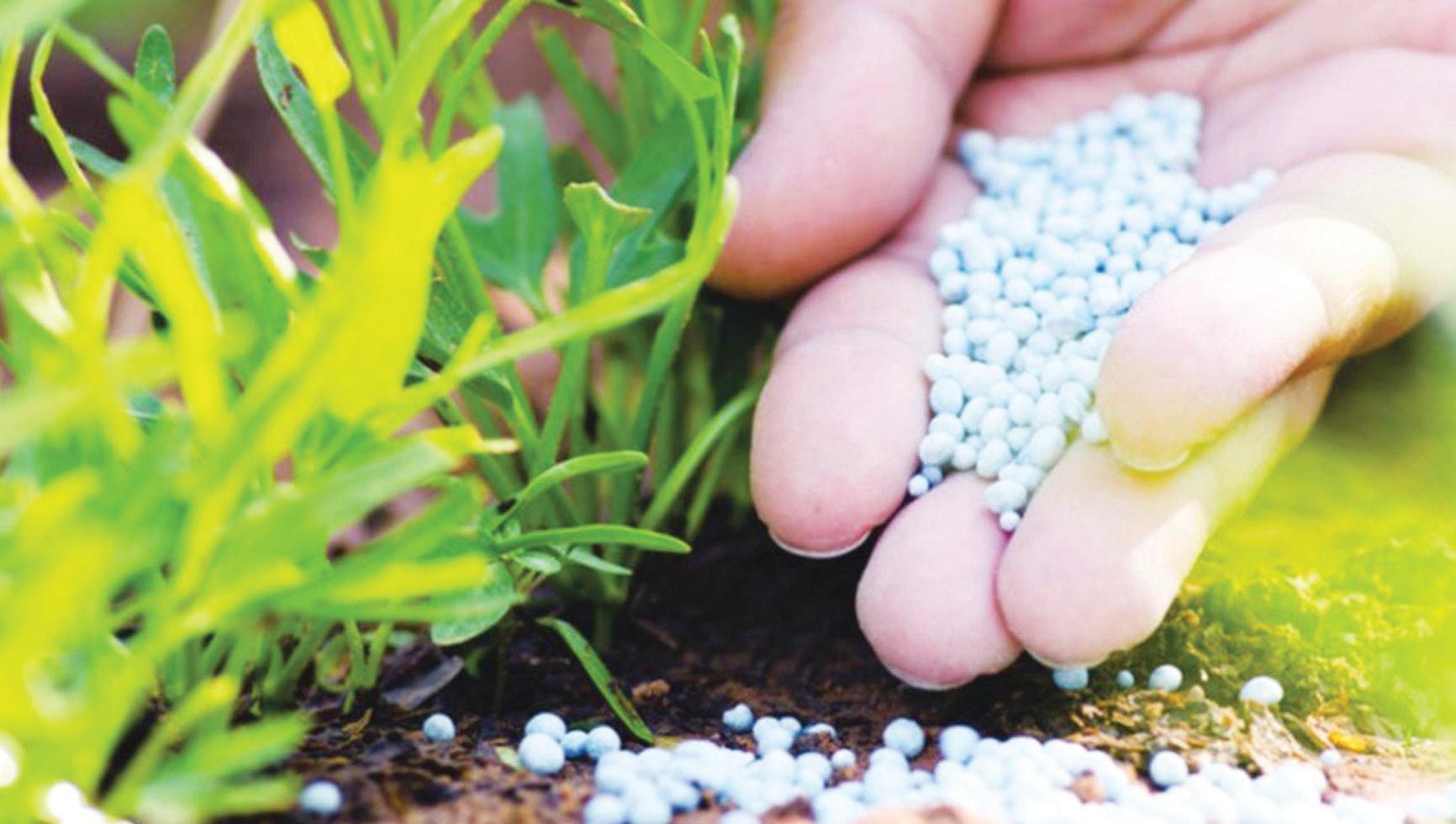 Why Trade Secrets Matter More Than Patents for India's Seed Companies