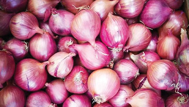Centre strengthens multi-layered safety net for onion farmers amid price volatility