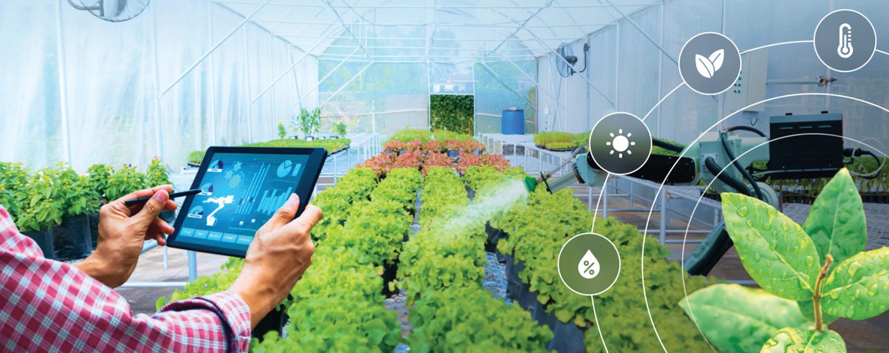 How Artificial Intelligence Is Transforming Global Food Systems