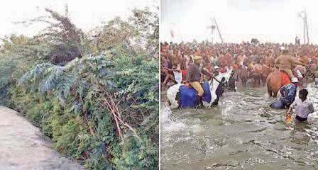 జపాన్ టెక్నిక్తో కుంభమేళాలో స్వచ్ఛవాయువులు