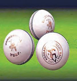 ఐపిఎల్ బాల్ ఒక్కోటీ రూ.18 వేలు