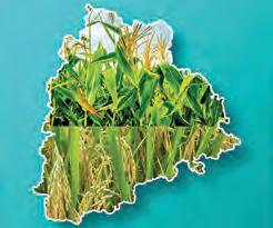 రాష్ట్రవ్యాప్తంగా 2,500 ఆగ్రో ప్రాసెసింగ్ యూనిట్లు
