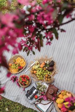 PICNIC spots