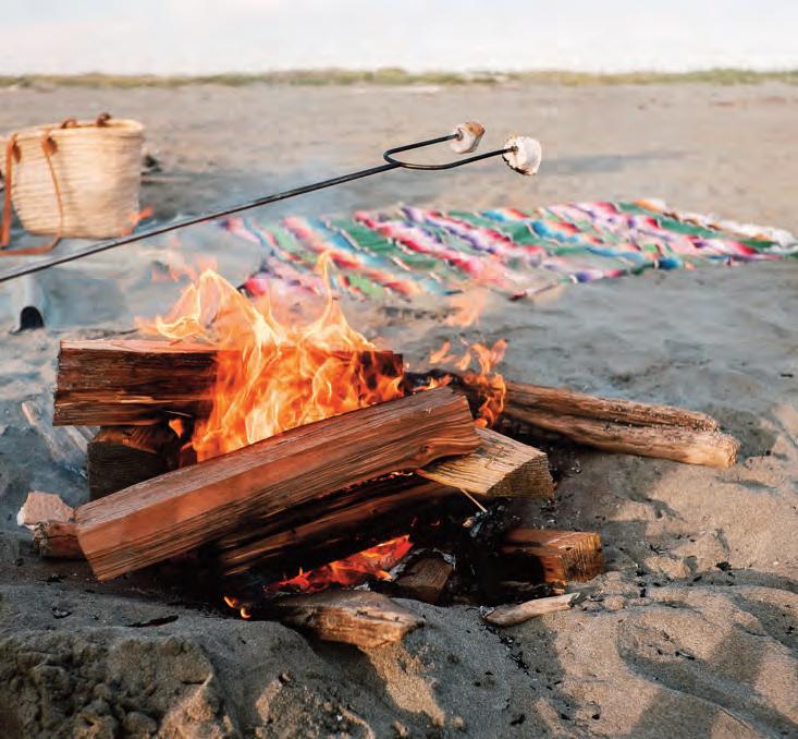 EXPLORE THE SHORES...