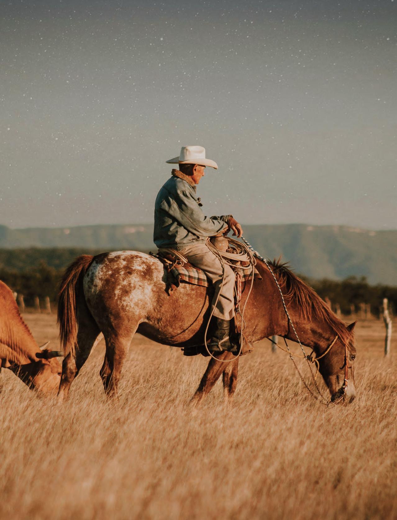 THE BEST OF THE WEST
