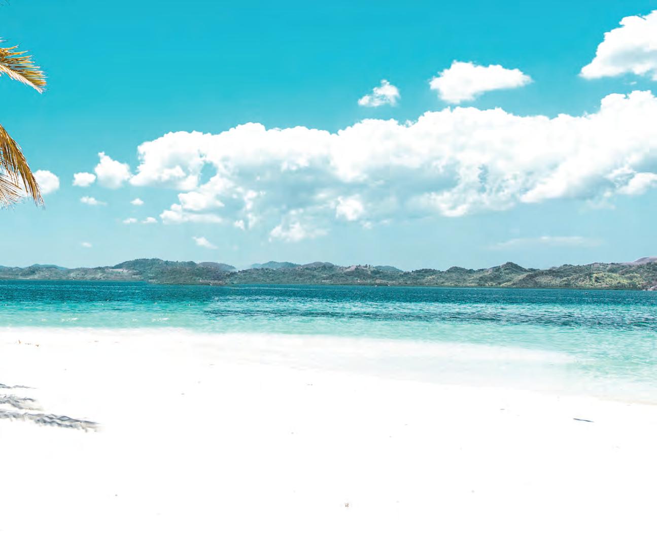 5 TROPICAL PARADISE