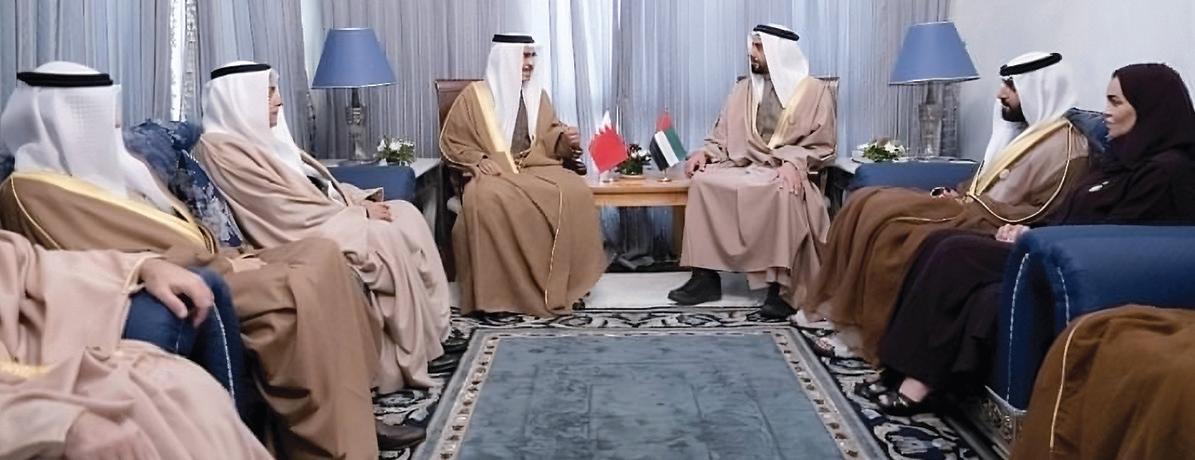 سيف بن زايد يبحث التعاون مع وزراء ومسؤولين من الدول الشقيقة والصديقة
