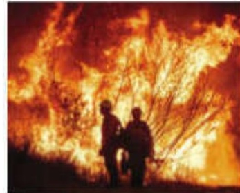 Winds that fueled LA fires are expected to calm, giving firefighters a chance to corral flames