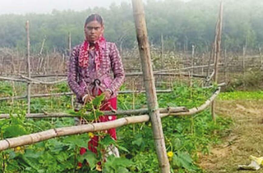 Women farmers transform agriculture with organic revolution and indigenous crops