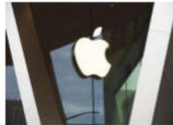 Apple Shareholders Not Expected to Scrap Diversity Programmes Despite Broader Backlash