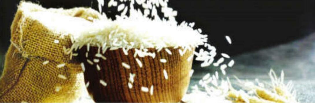 Gobindobhog rice suffers production losses, growers & exporters suffer jolt