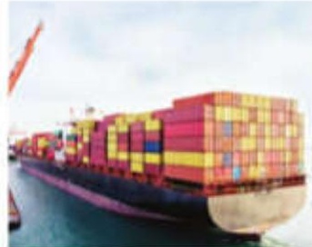 US Economic Worries Mount as Trump Implements Tariffs, Cuts Workforce and Freezes Spending