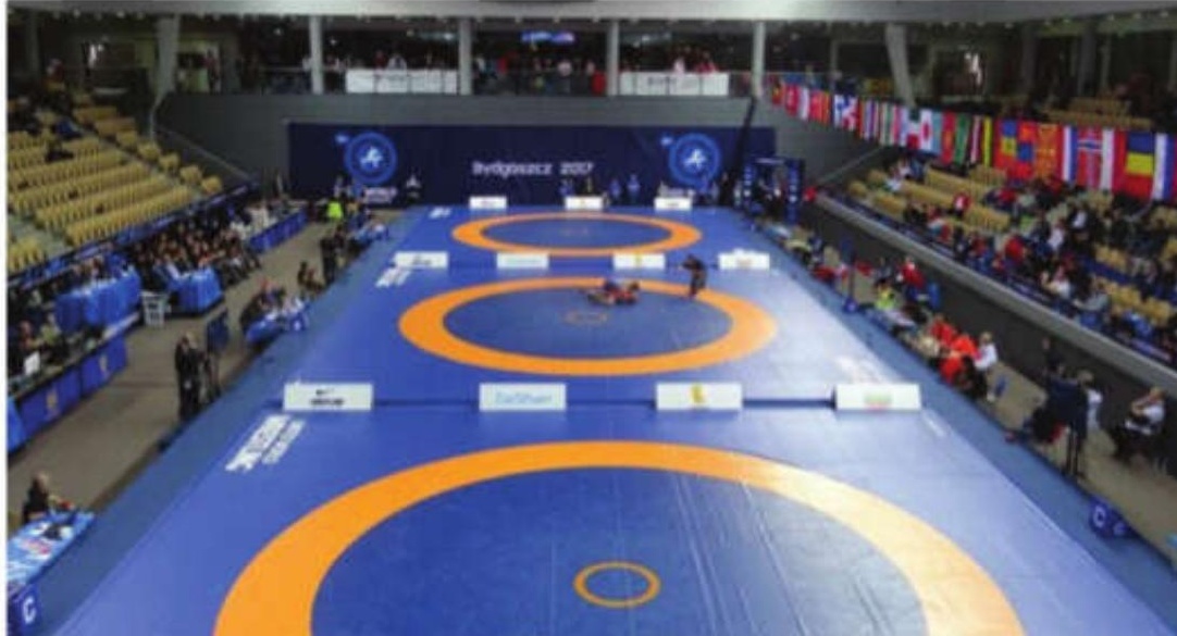 Sports Ministry Revokes Suspension on Wrestling Federation of India
