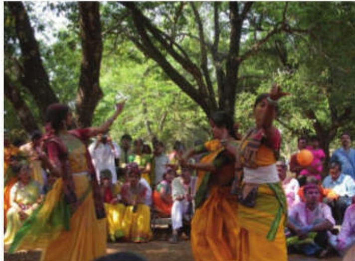 Forest department bans Holi celebrations in Sonajhuri