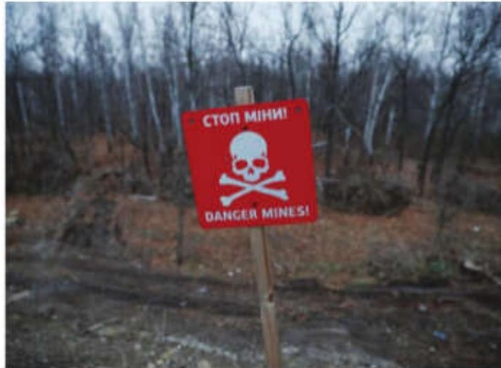 Poland and Baltic states recommend leaving anti-personnel landmine treaty