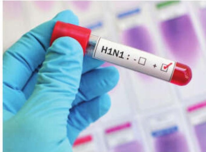 WB Tightens Protocols as Avian Flu Scare Looms Large