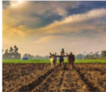 Govt Reiterates Commitment to Farmers' Welfare