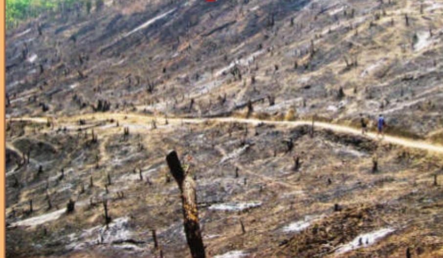 Prolonged dry spell and jhum burning push up Aizawl's air pollution levels